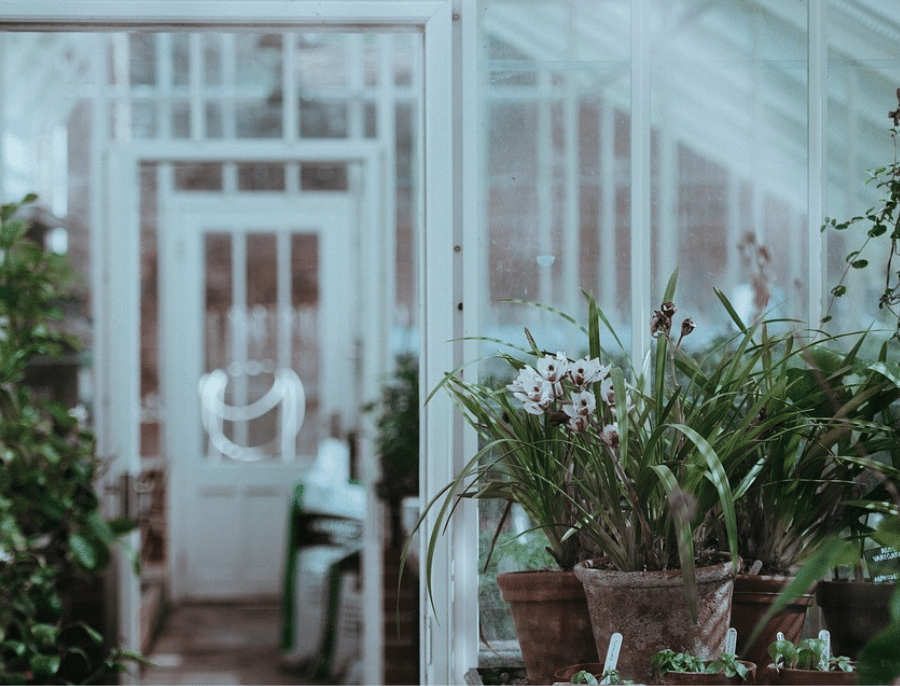 Greenhouse Cooling Ireland Cooling Solutions